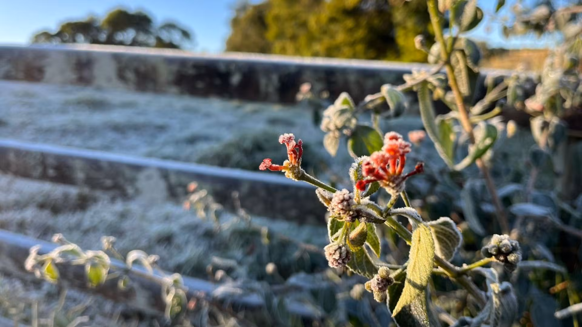 Inverno no interior de SP terá temperaturas acima da média e chuvas dentro do esperado, aponta Inmet