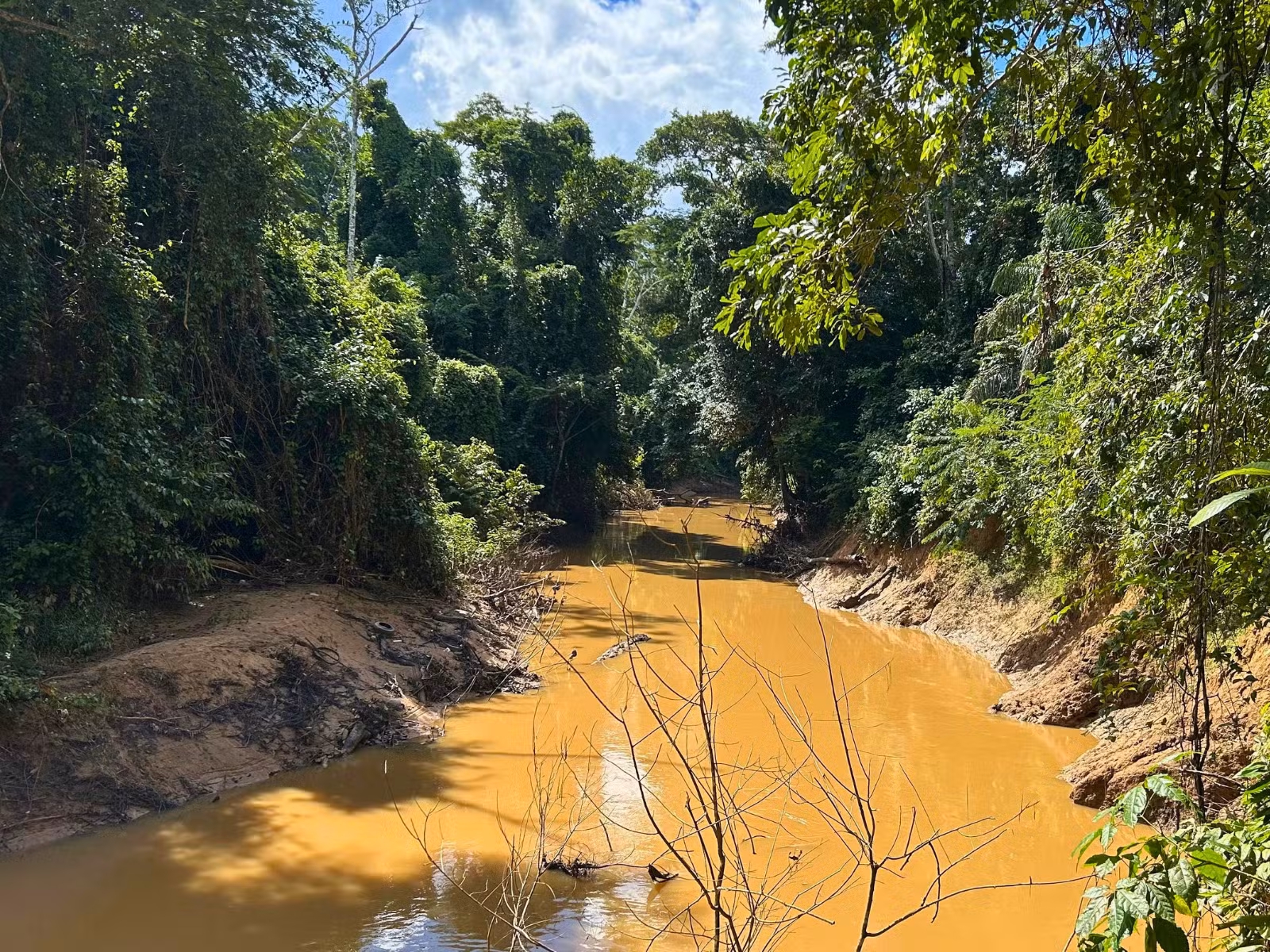 Programa mapeia áreas de risco e busca retirar 30 toneladas de lixo por dia de igarapés em Rio Branco