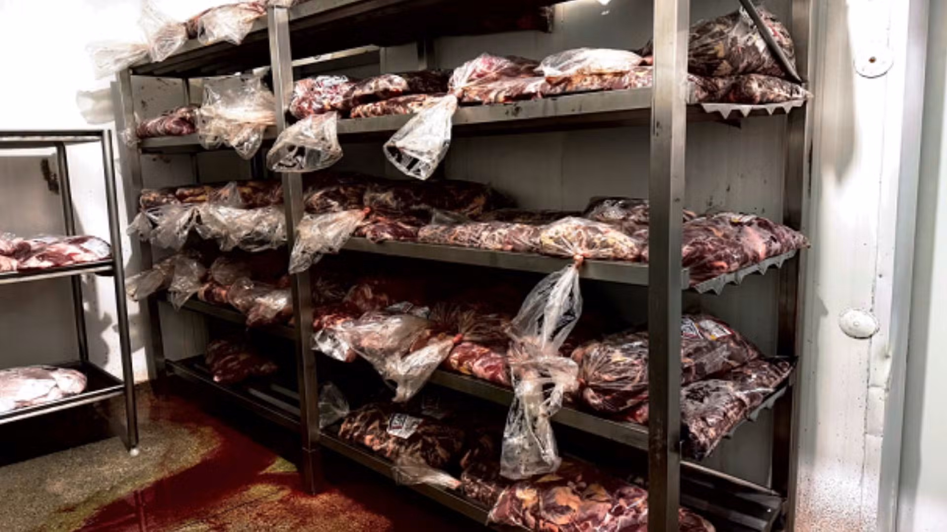 Frigorífico de MG é multado em mais de R$ 35 mil por colocar carnes impróprias para consumo no mercado