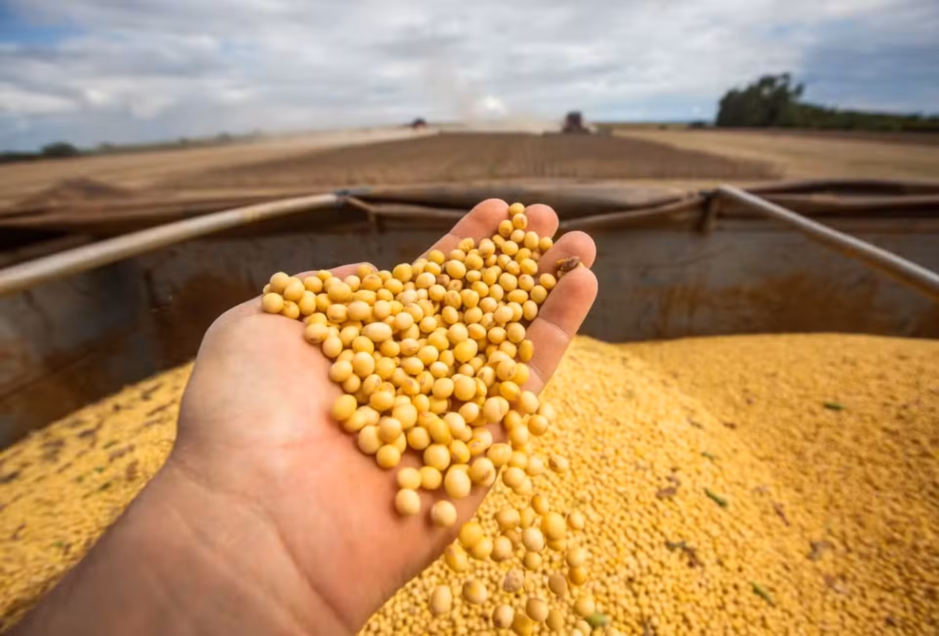 EUA podem perder para o Brasil o papel de maior exportador agrícola do mundo, diz Financial Times