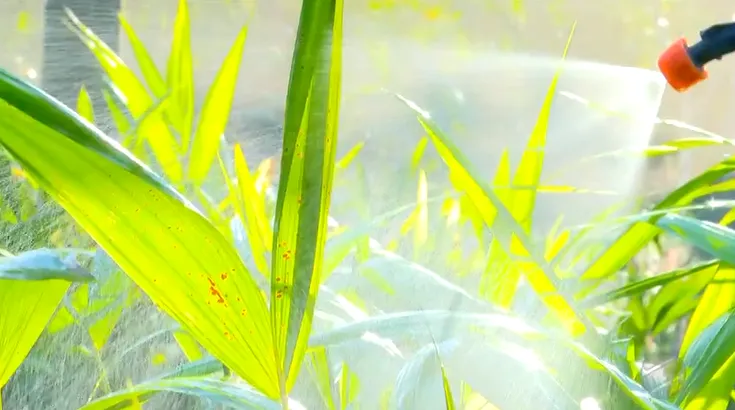 Como produzir biofertilizantes para nutrir o solo e as plantas