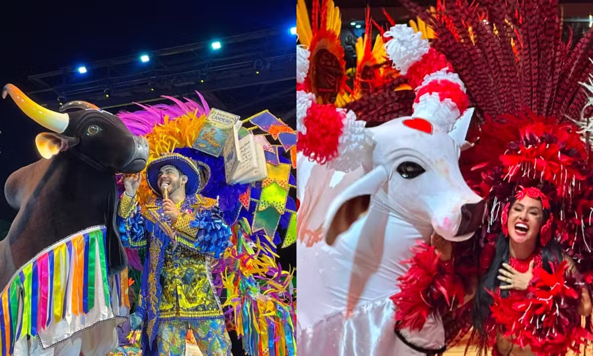 Caprichoso e Garantido na arena: veja fotos da última noite do Festival de Parintins 2026
