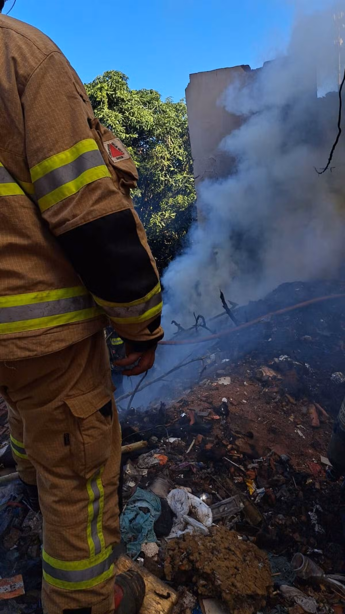 Bombeiros combatem incêndio em casa abandonada e resgatam quatro cães em Montes Claros