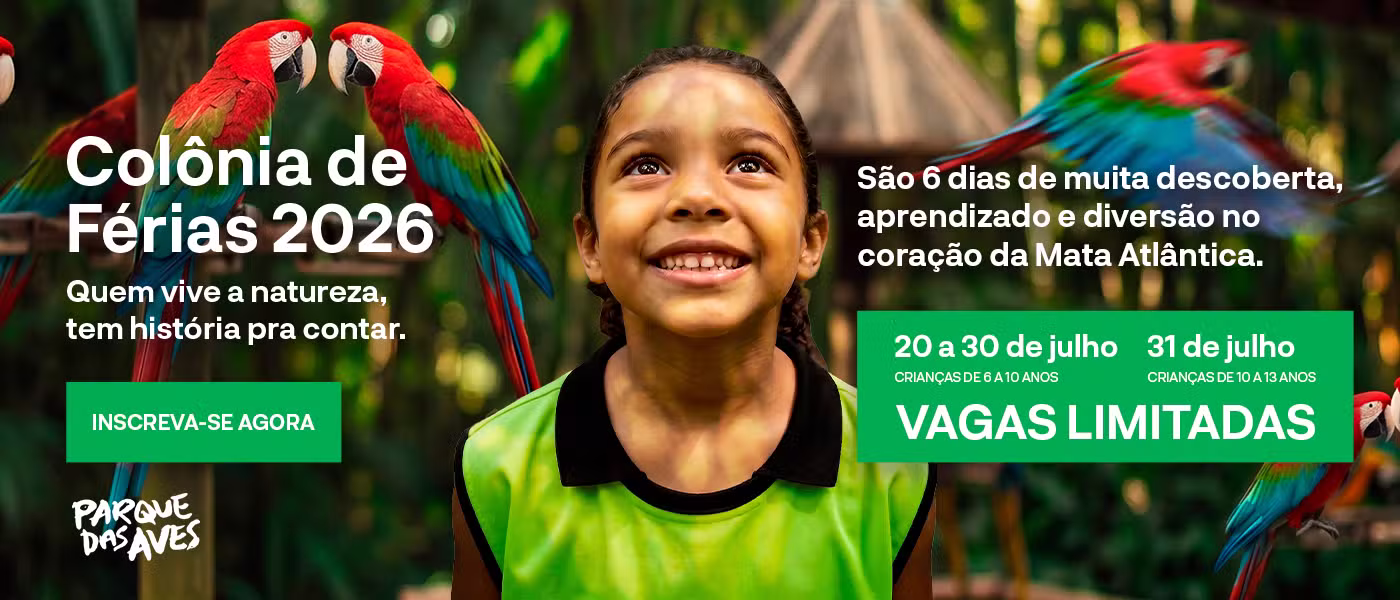Programação de férias aproxima crianças da natureza em Foz do Iguaçu