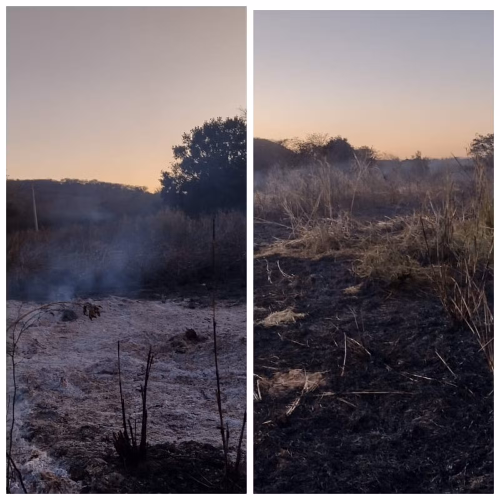 Incêndio atinge plantação de milho e mobiliza bombeiros na zona rural de Montes Claros