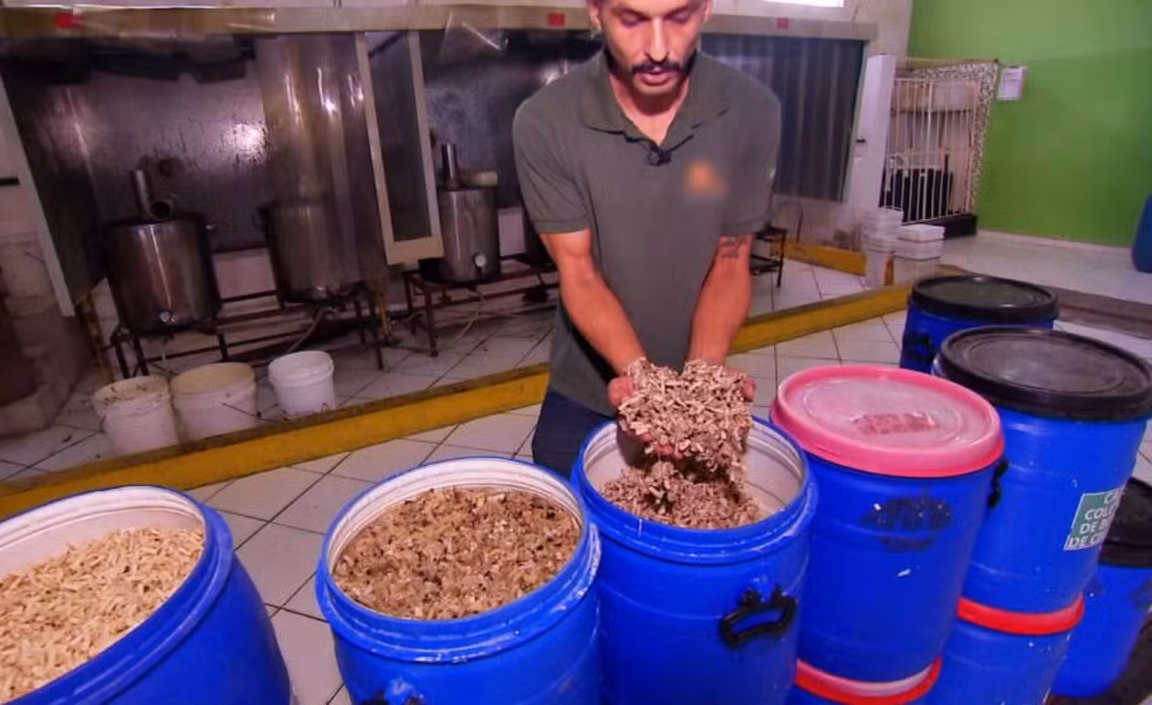 Tem Solução: de bitucas de cigarro a pneus velhos, projetos transformam resíduos em produtos sustentáveis