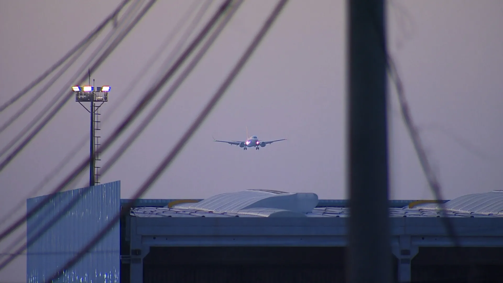 Colisões de aviões com aves em Campinas superam capital paulista