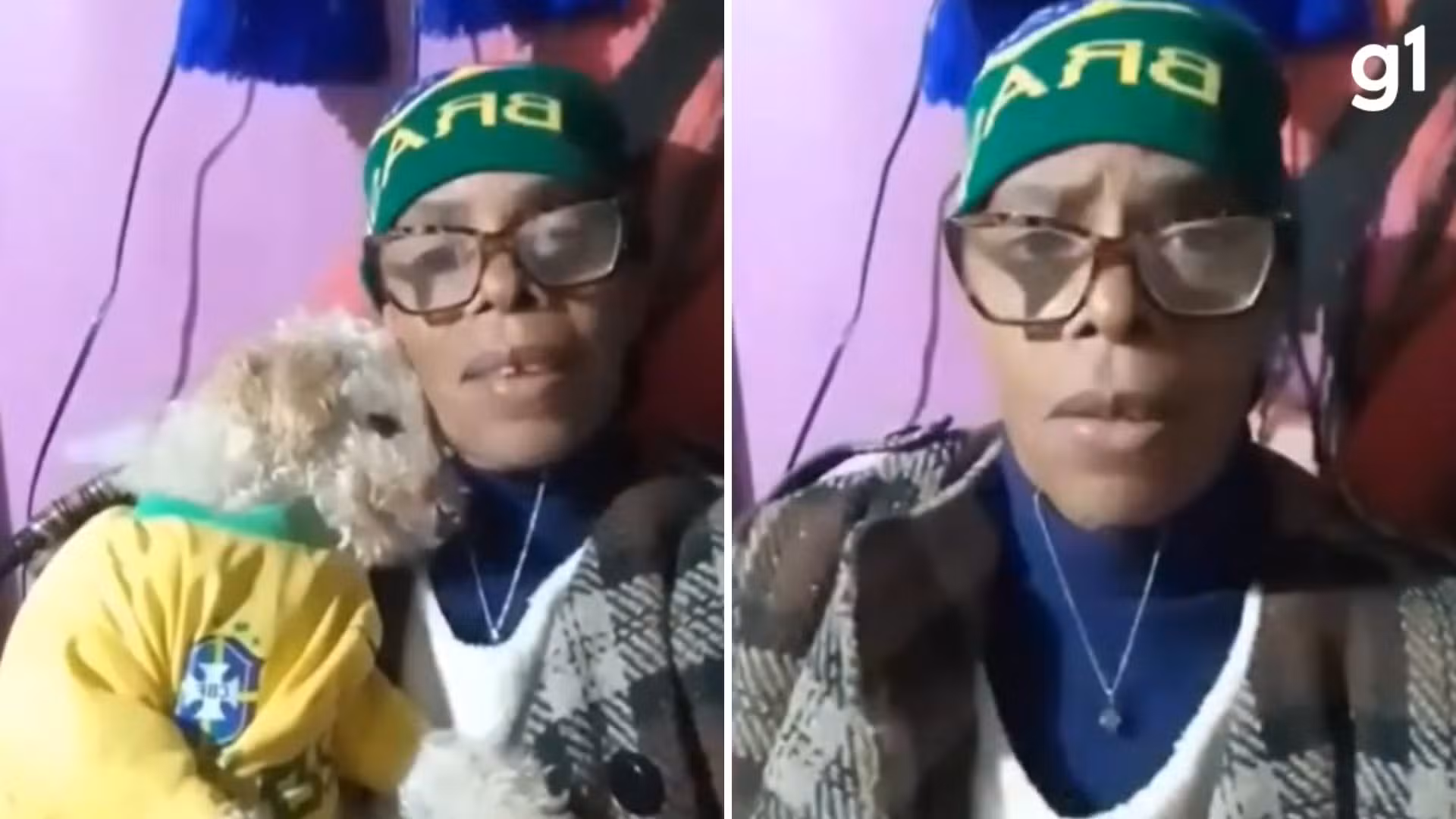 Vereadora do RS que confessou ter agredido cadela com vassoura é indiciada pela polícia