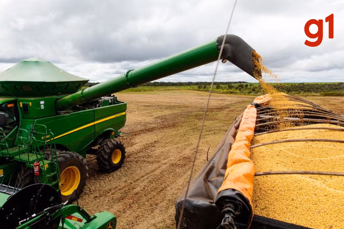 Brasil x Japão: país asiático comprou mais de 535 mil toneladas de soja de Mato Grosso em 2025