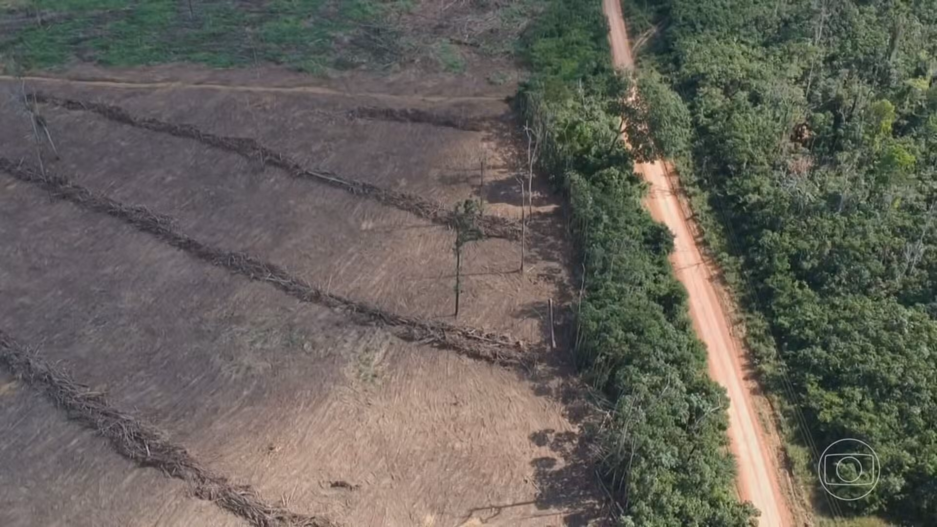 Maranhão tem pior índice de acesso à informação ambiental da Amazônia Legal, aponta estudo