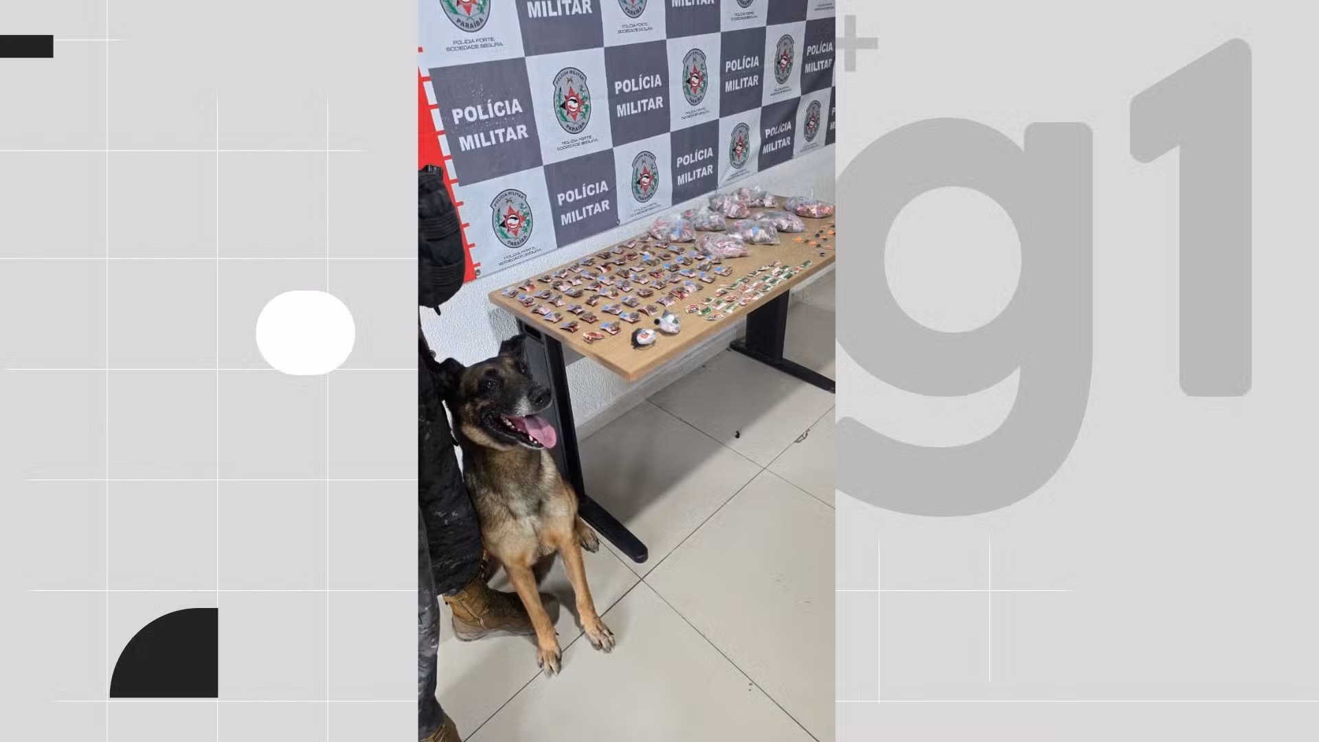 Polícia apreende drogas durante ação com cão farejador em comunidade de João Pessoa