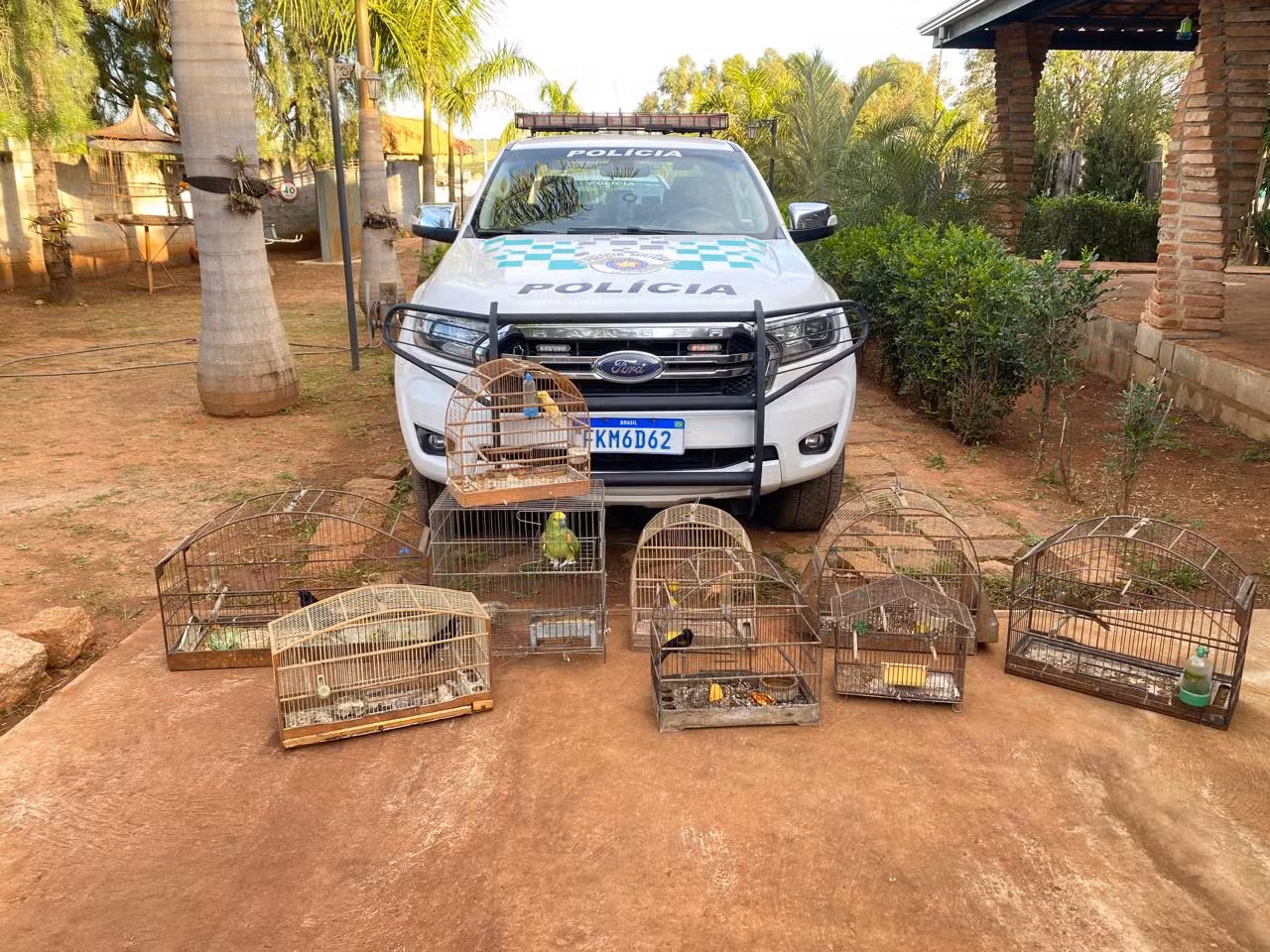 Polícia apreende aves por maus-tratos e aplica multa de R$ 30 mil a homem em Hortolândia