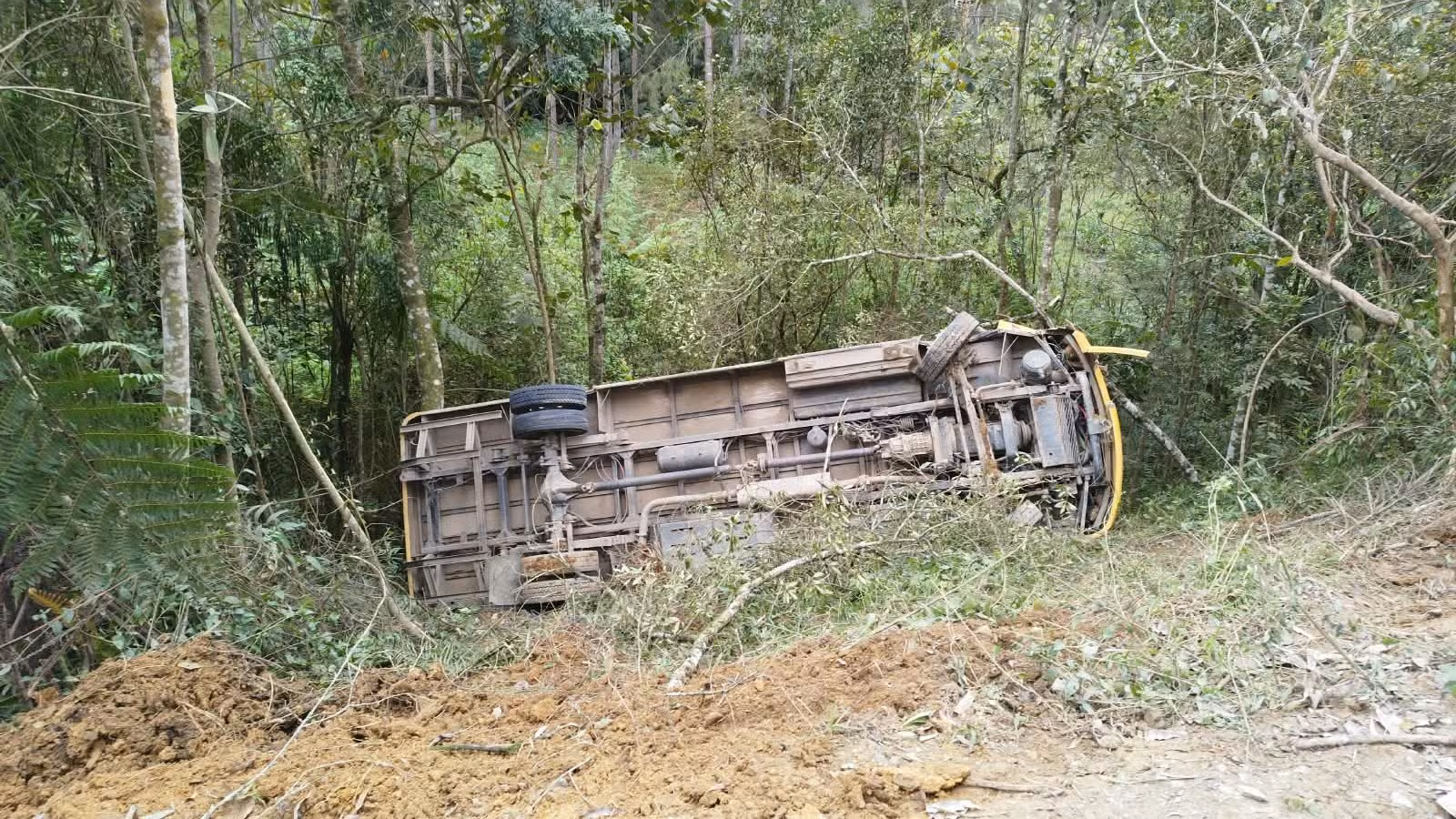 Ônibus escolar com 10 crianças cai em ribanceira de 10 metros em área rural de SC
