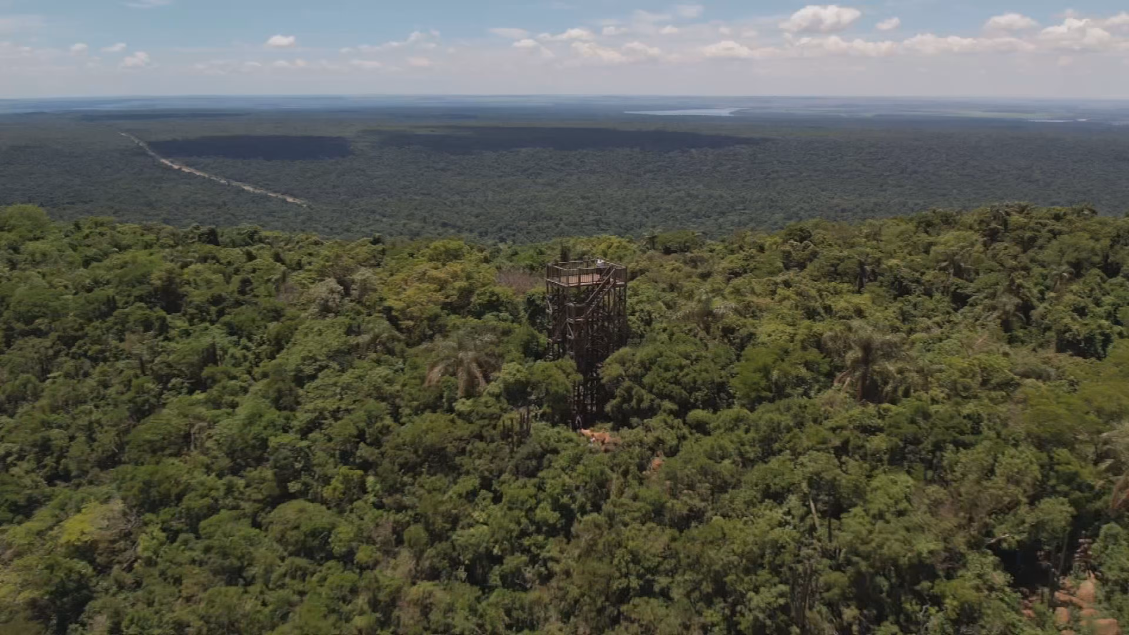 Parque Estadual abriga maior remanescente de Mata Atlântica do interior paulista