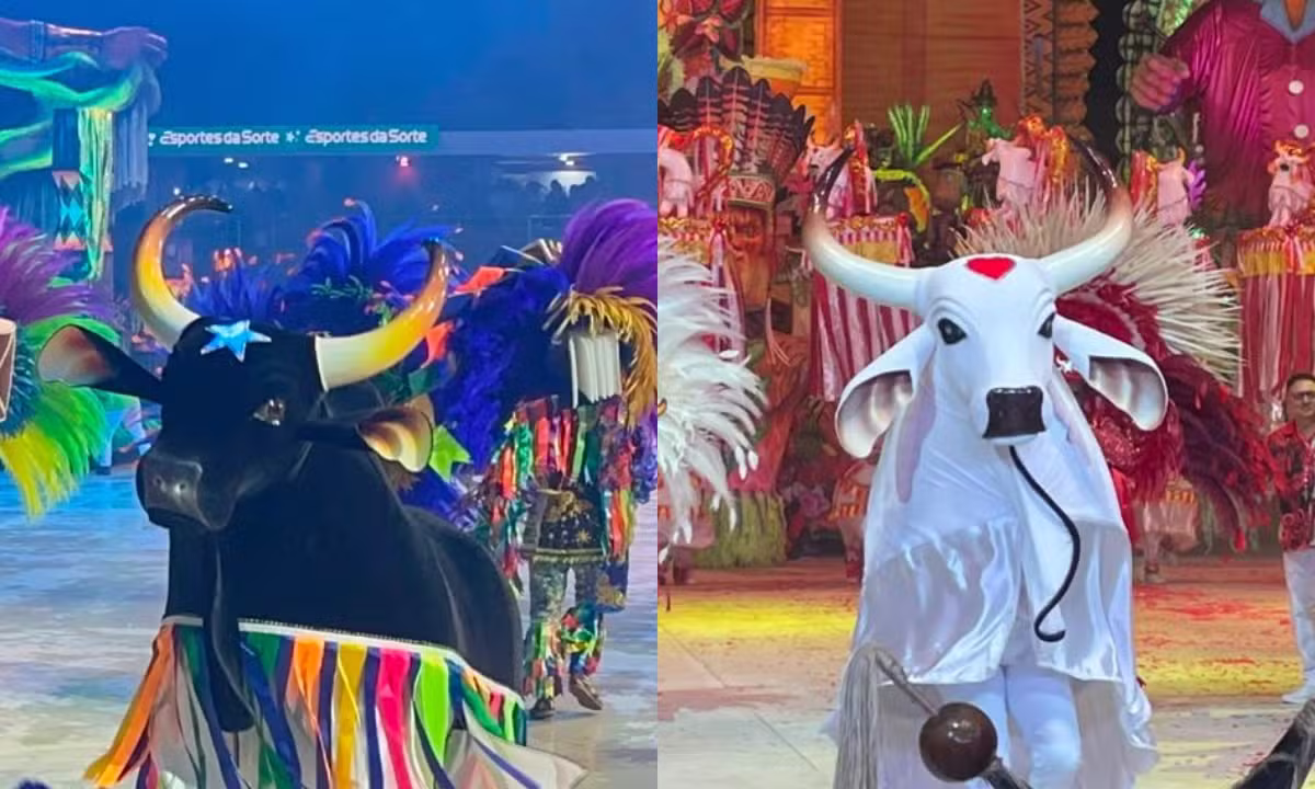 Caprichoso exalta a resistência do boi-bumbá, e Garantido celebra 'terra encantada' na última noite do Festival de Parintins 2026