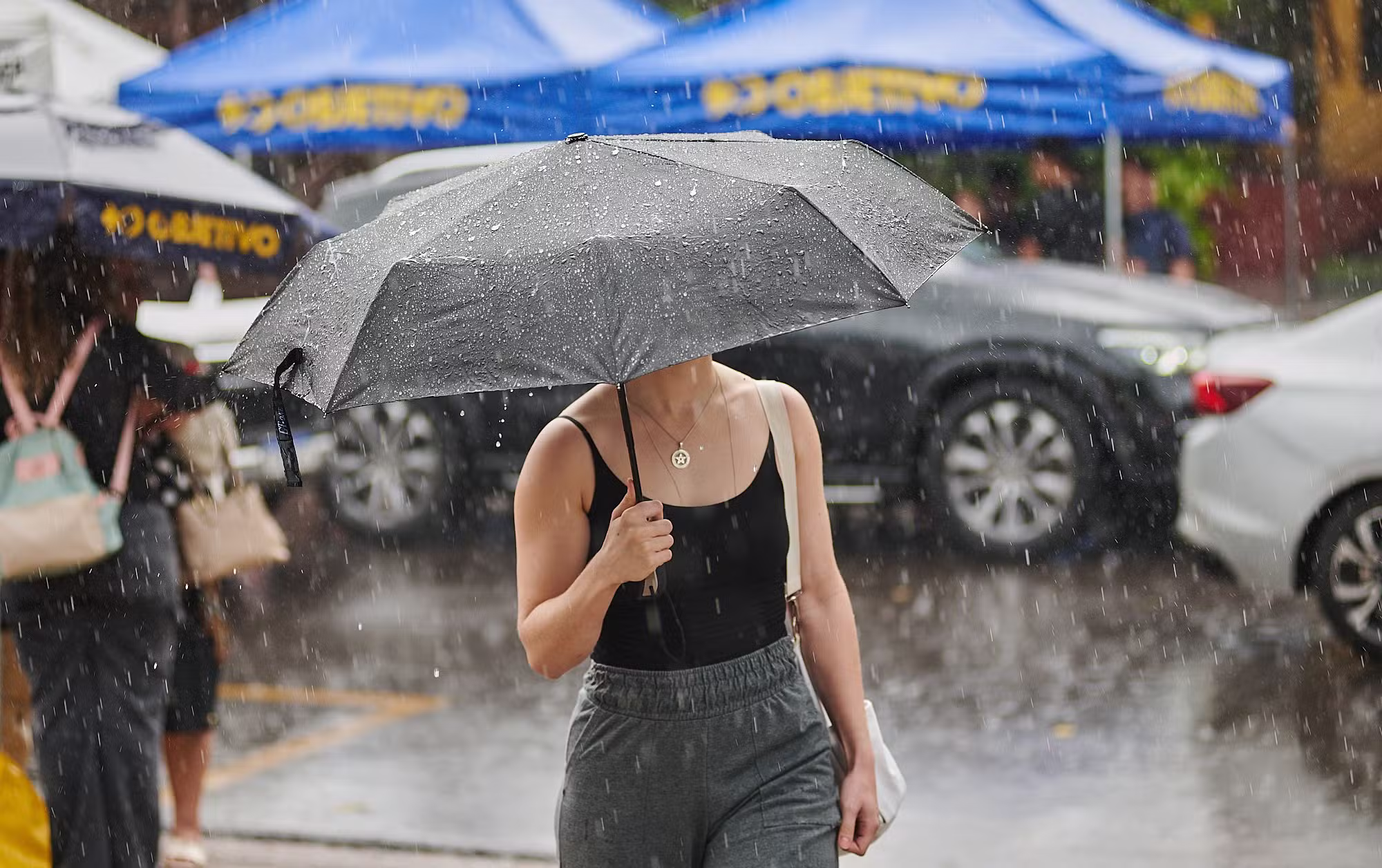 Defesa Civil alerta região de Ribeirão Preto e Franca para ventos de até 60 km/h por causa de ciclone