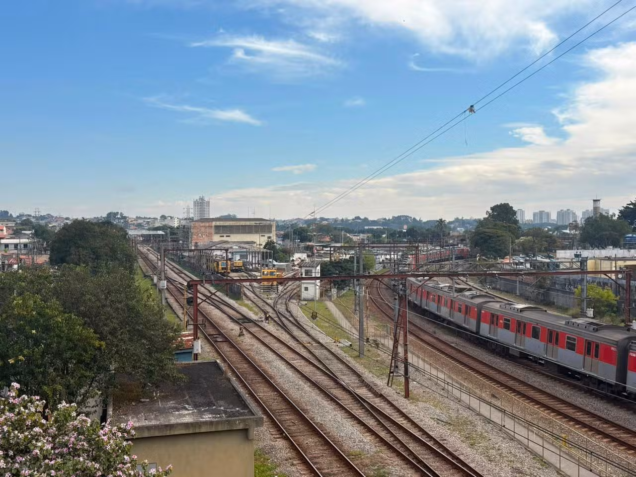 Linhas 11-Coral e 12