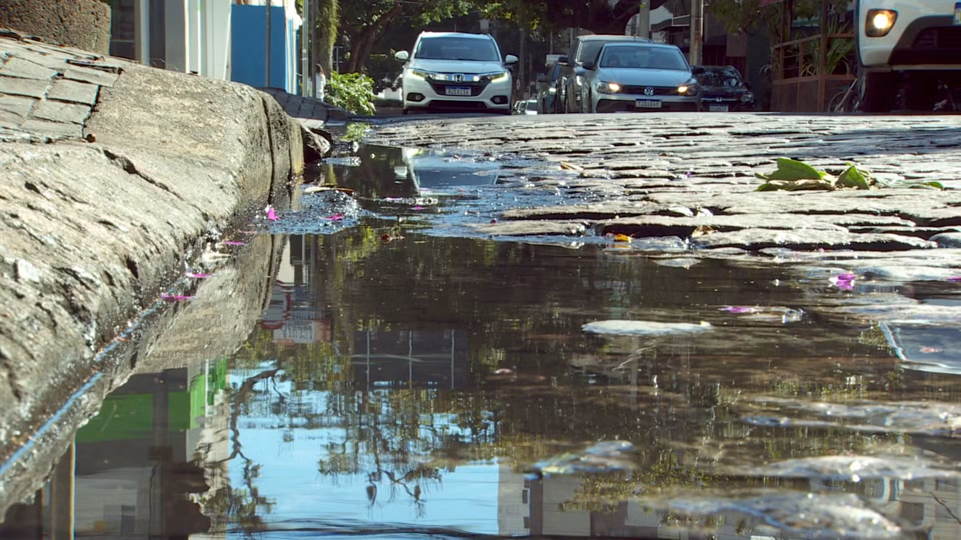 Entenda como nascentes e falta de drenagem alagam ruas no Cambuí, em Campinas