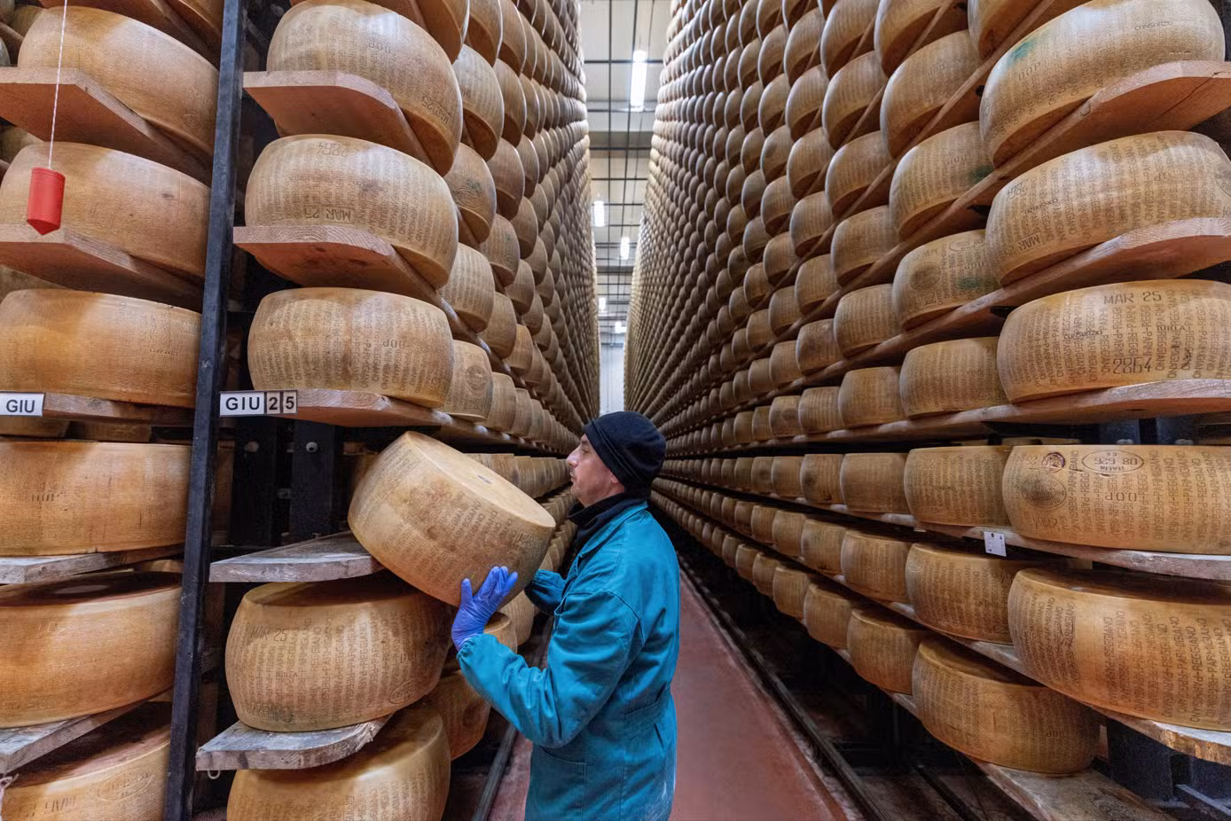 'Não queremos ser a última geração a comer esse queijo': ondas de calor ameaçam a produção do Parmigiano Reggiano na Itália