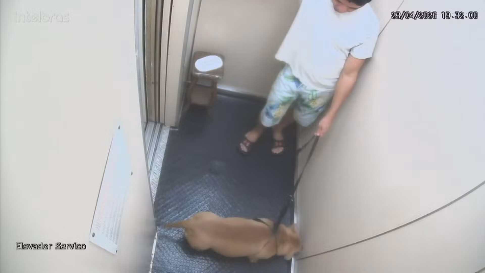 'A pessoa que o cão mais confiava', delegado diz que equipe ficou chocada com cachorro morto por tutor em Copacabana