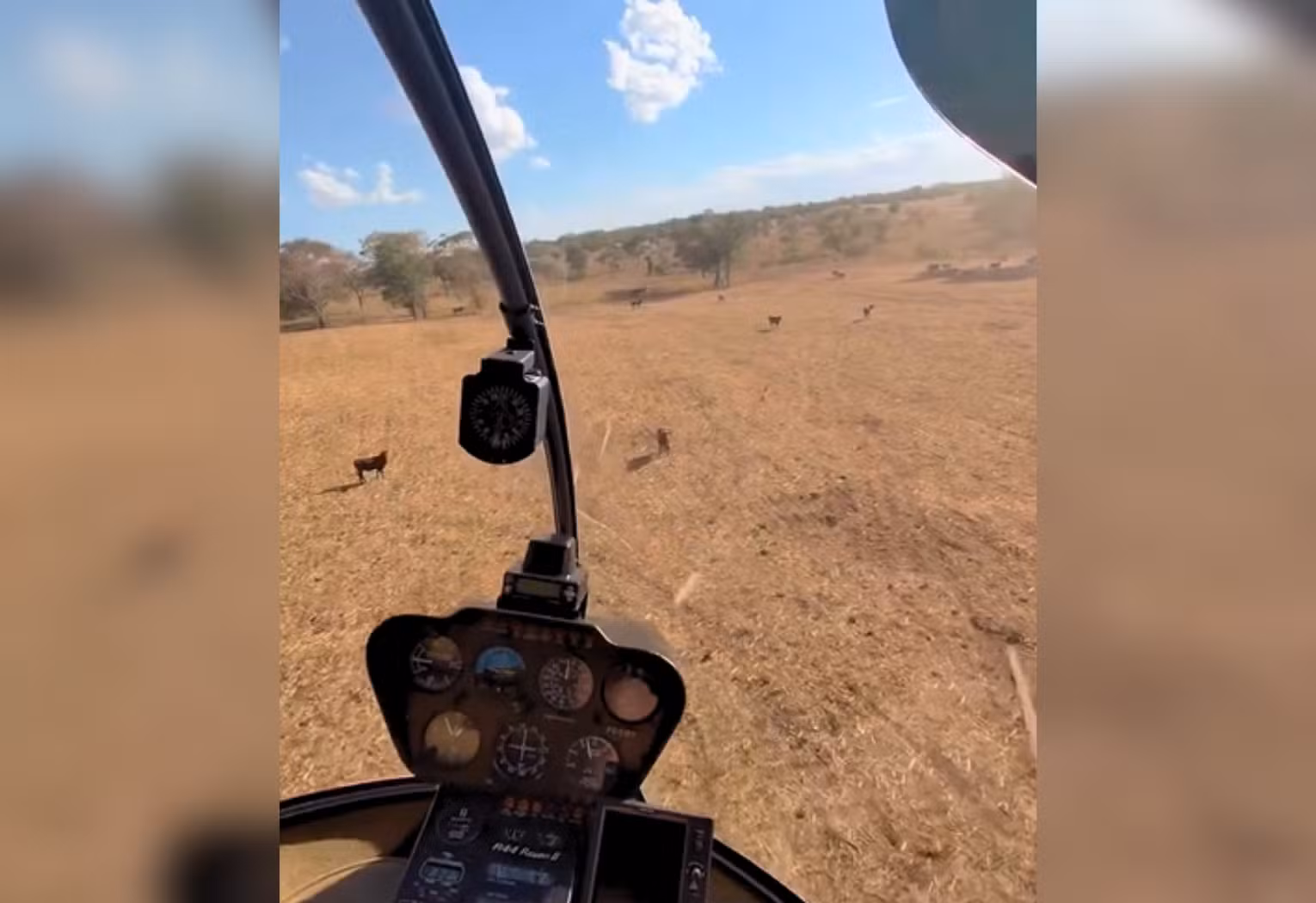 Juliano, da dupla com Henrique, faz treino em helicóptero e se diverte tocando gado em fazenda; VÍDEO