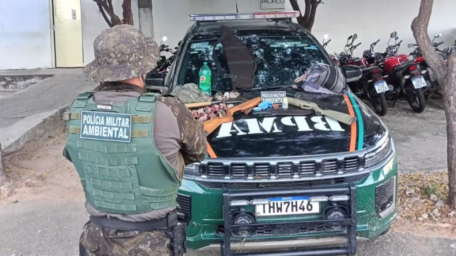 PM apreende armas e aves abatidas durante ação contra caça ilegal no interior do Ceará