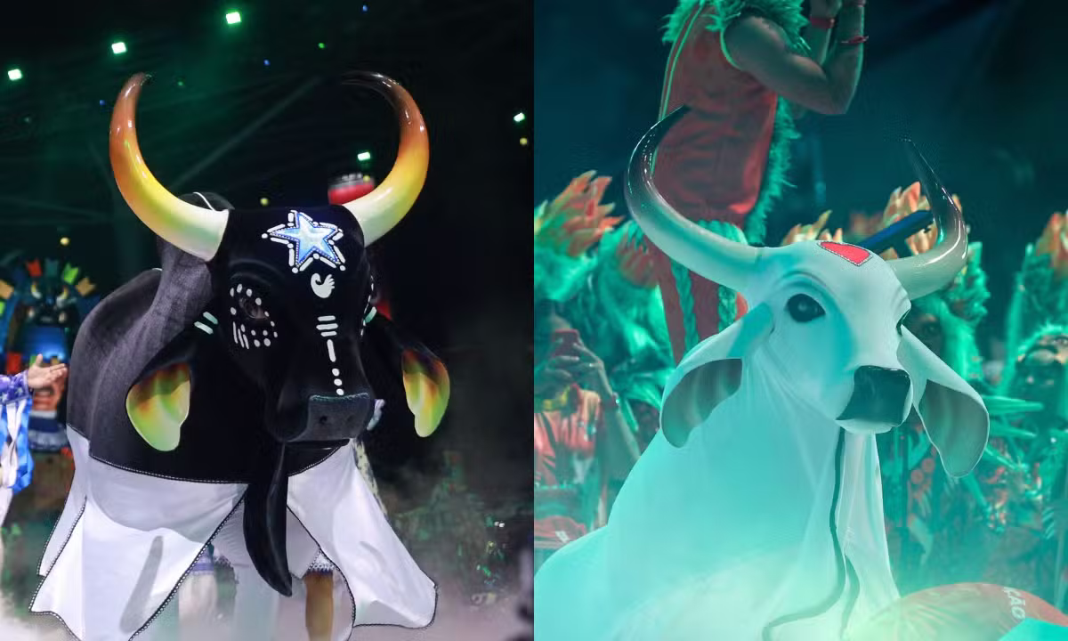 Caprichoso e Garantido retornam ao Bumbódromo neste domingo para a última noite do Festival de Parintins; veja o que apresentam