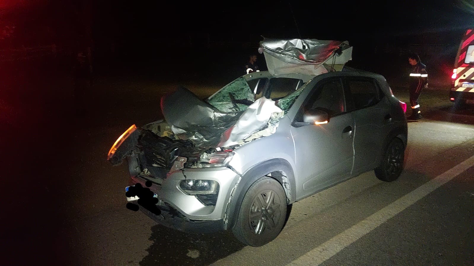 Mulher morre após carro bater em animal solto na BR