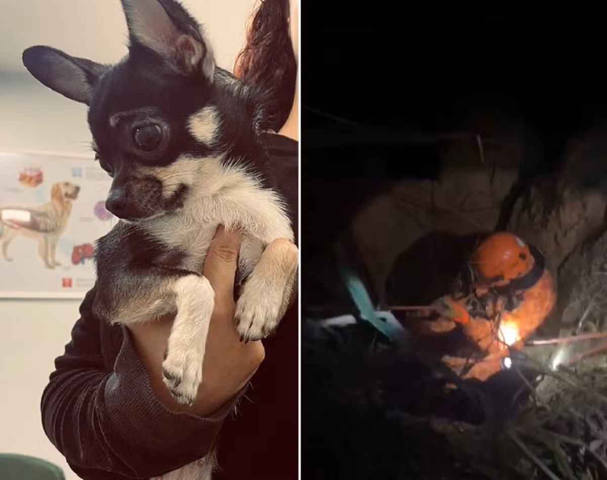Cachorrinha cai em poço de 10 metros em Saquarema e bombeiros fazem o resgate de rapel