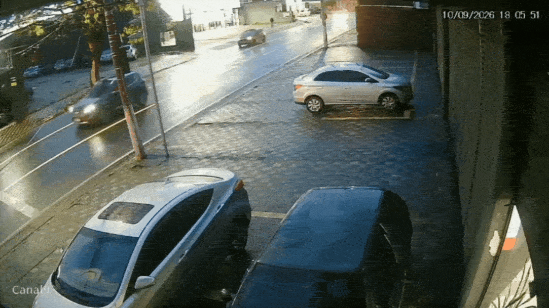 VÍDEO mostra momento em que árvore desaba e atinge carro em Jacareí: 'Deus nos livrou da morte'