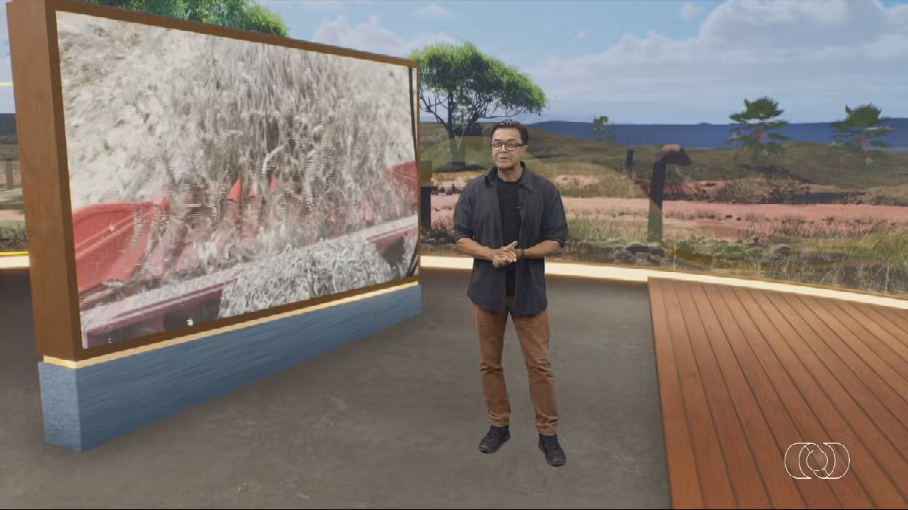 VÍDEOS: Jornal do Campo