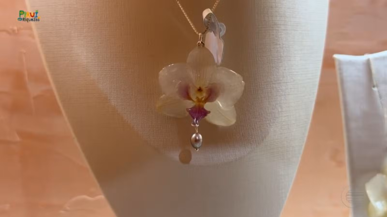 Piauí de Riquezas mostra como flores do Cerrado são transformadas em biojoias e peças artesanais