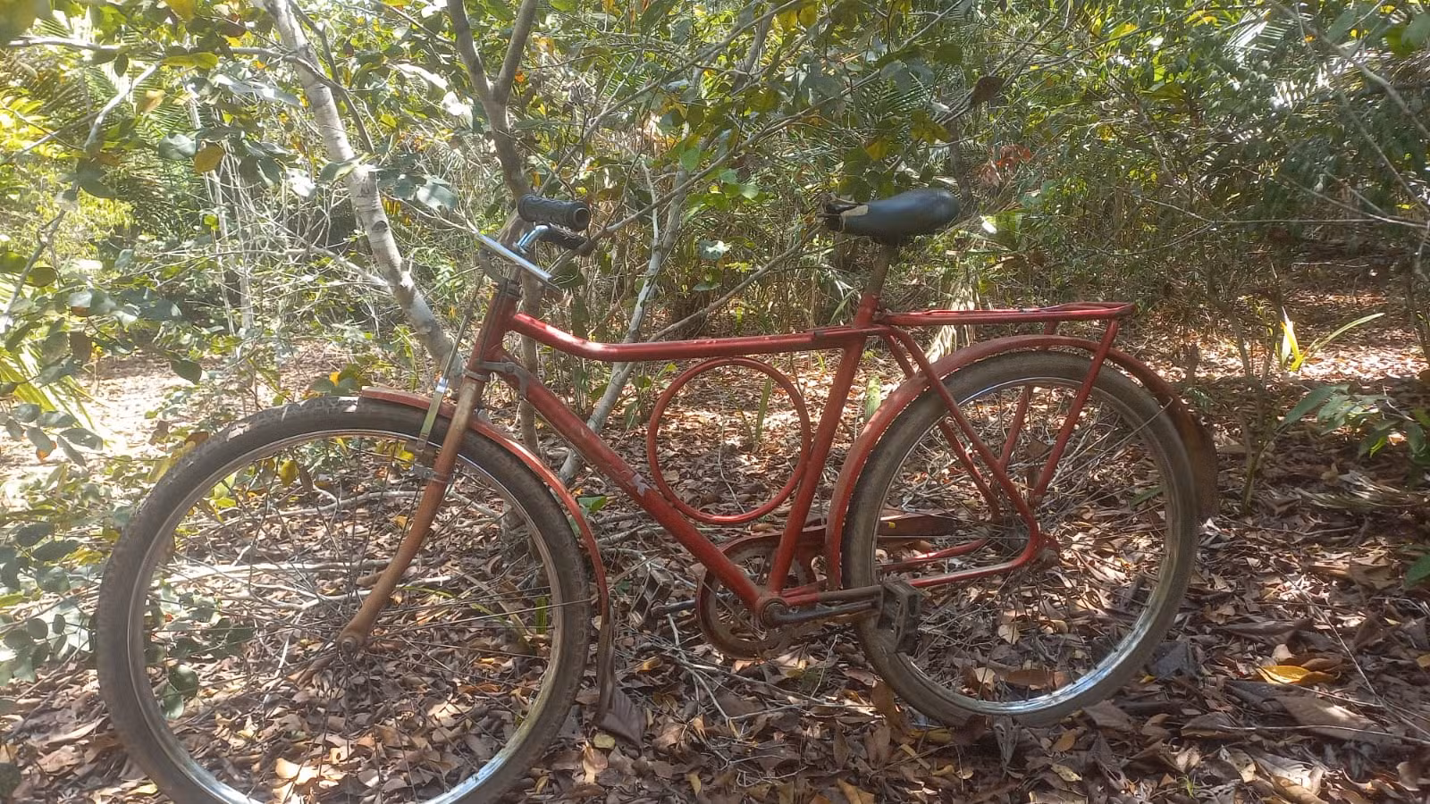 VÍDEO: Jovem 'pega' bicicleta para não se atrasar, se arrepende e pede perdão ao dono em Santarém