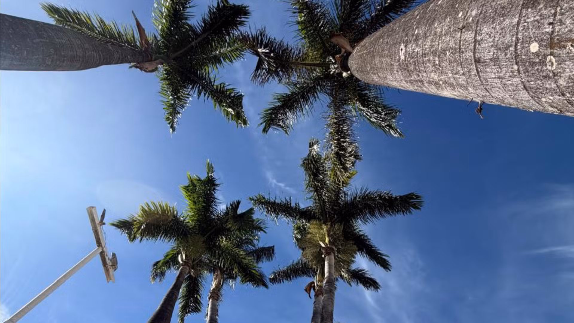 Tempo seco e temperaturas acima da média marcam a semana no Triângulo e Alto Paranaíba