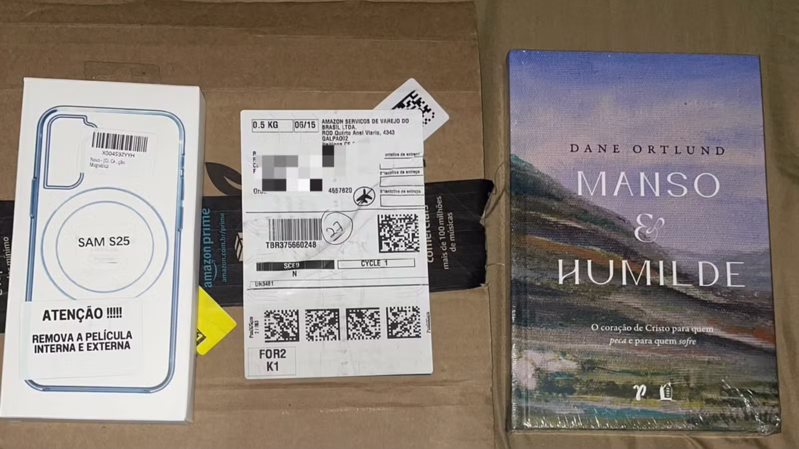 Estudante compra celular de R$ 3,5 mil pela internet e recebe livro e capinha em Fortaleza