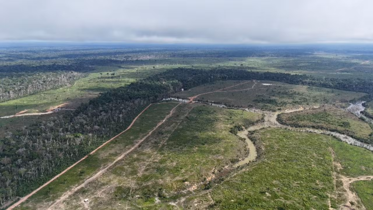 Amazonas reduz desmatamento em 31%, mas continua entre os três estados que mais devastam a Amazônia
