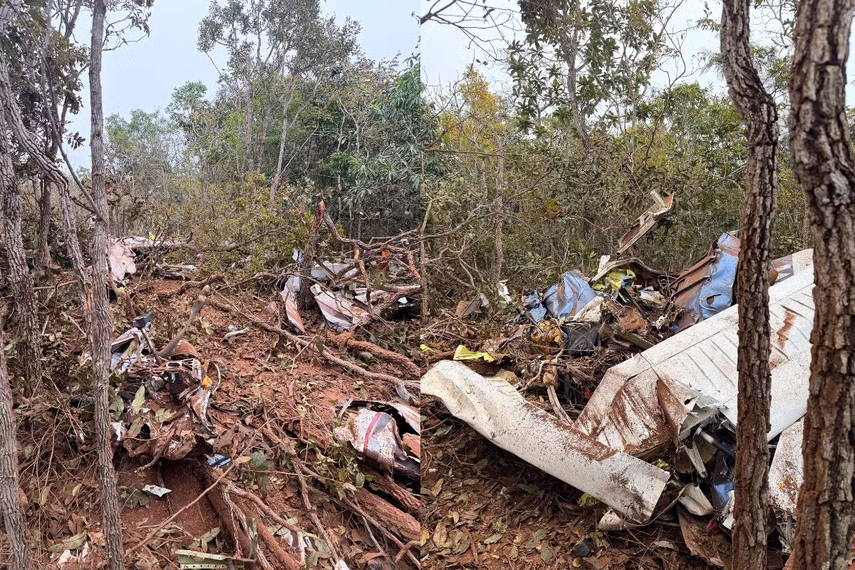 O que se sabe sobre a queda de avião que matou piloto e pesquisadora alemã em Campo Grande