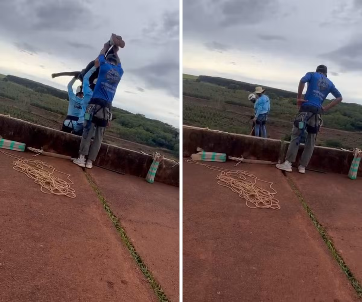 Quem são os 6 presos no caso da jovem que morreu após ser lançada sem cordas em rope jump