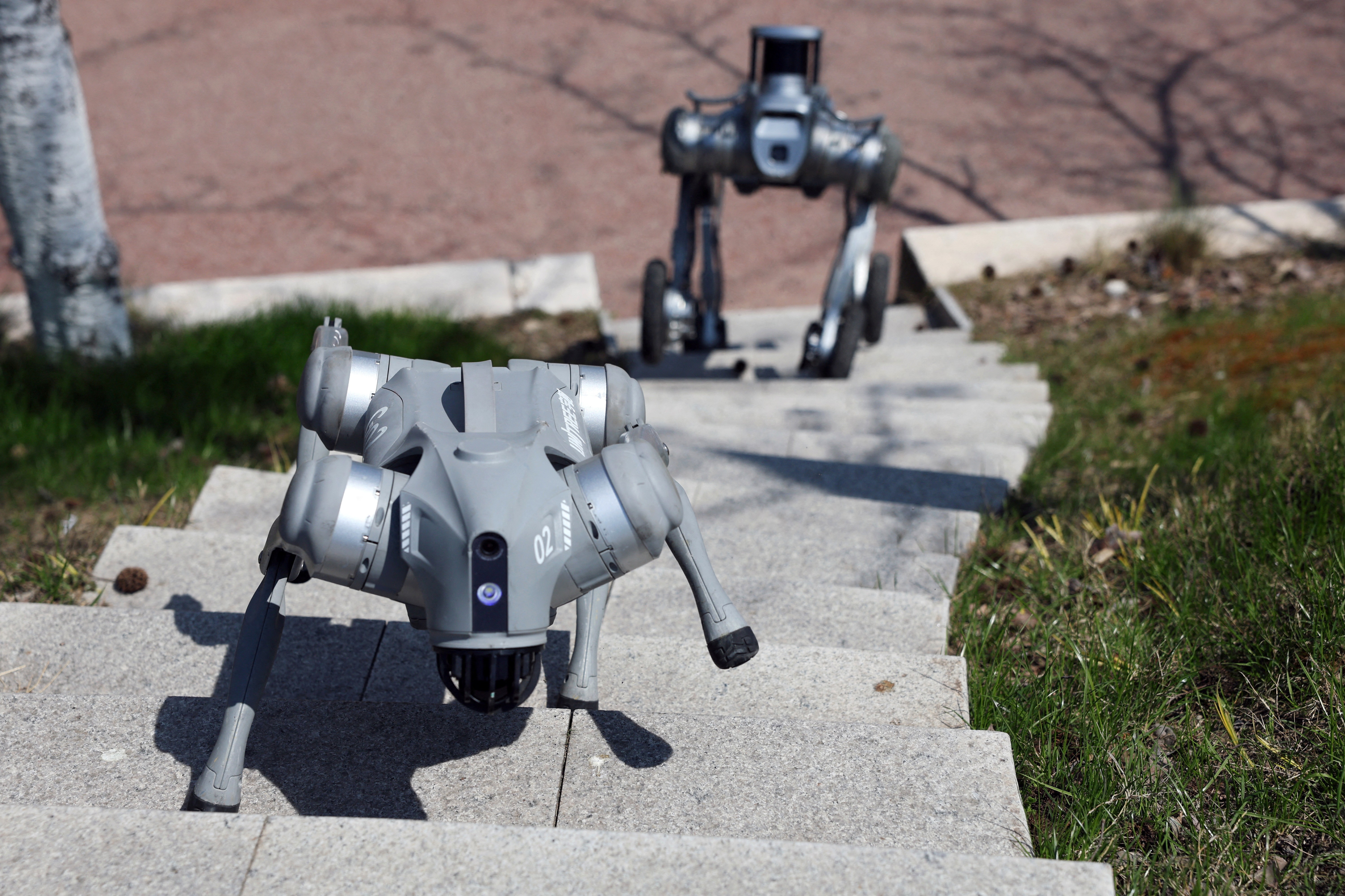 Cães-robôs da China: tecnologia militar dos EUA é base de modelos