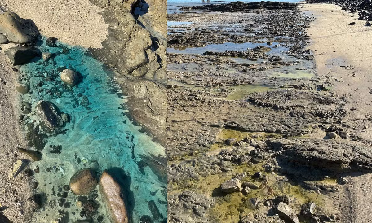 Inema aplica multas de R$ 20 milhões e R$ 50 milhões em empresas por contaminação de praia em Salvador