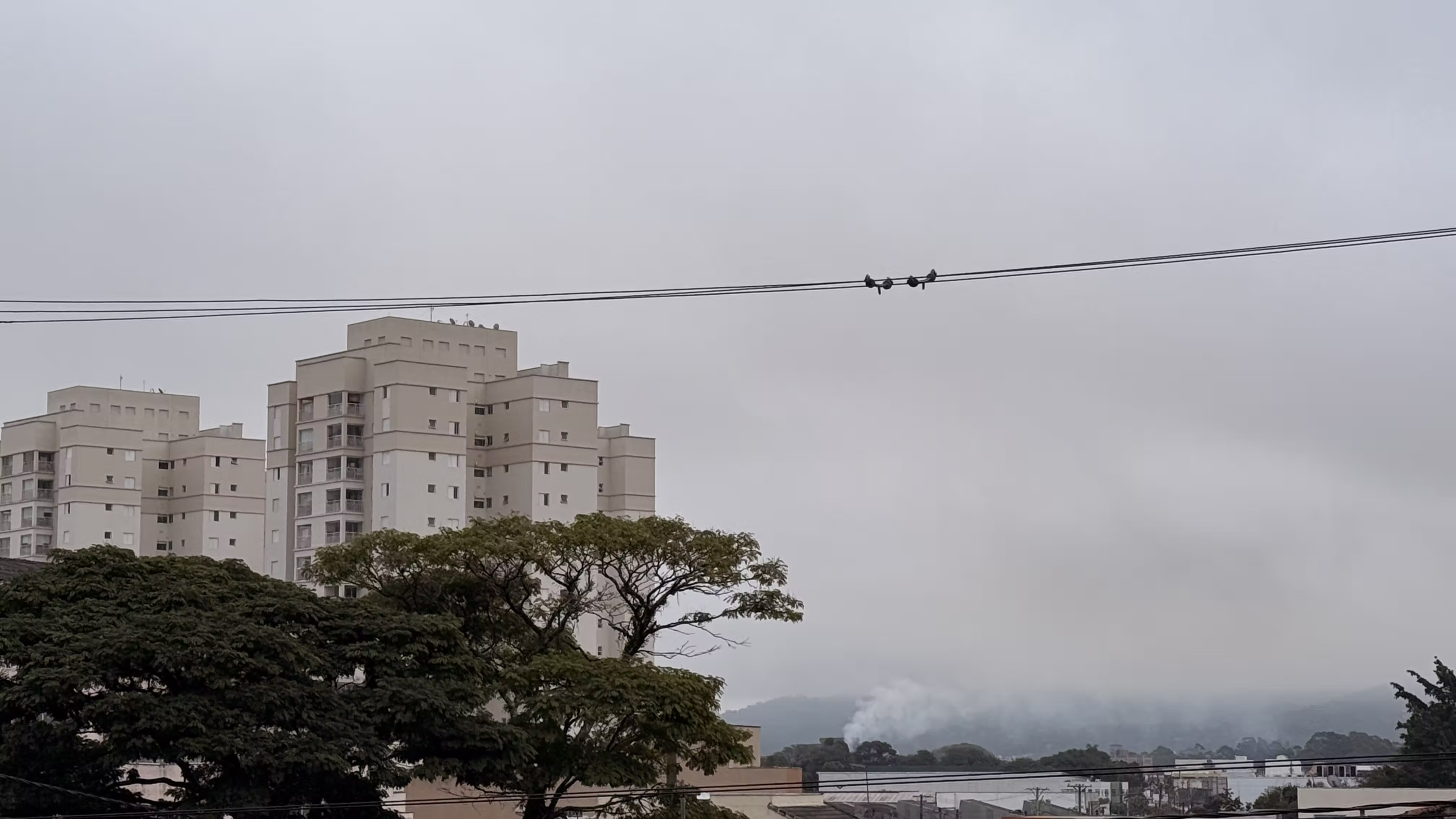 Tempo em Mogi das Cruzes: massa de ar polar derruba temperaturas neste fim de semana