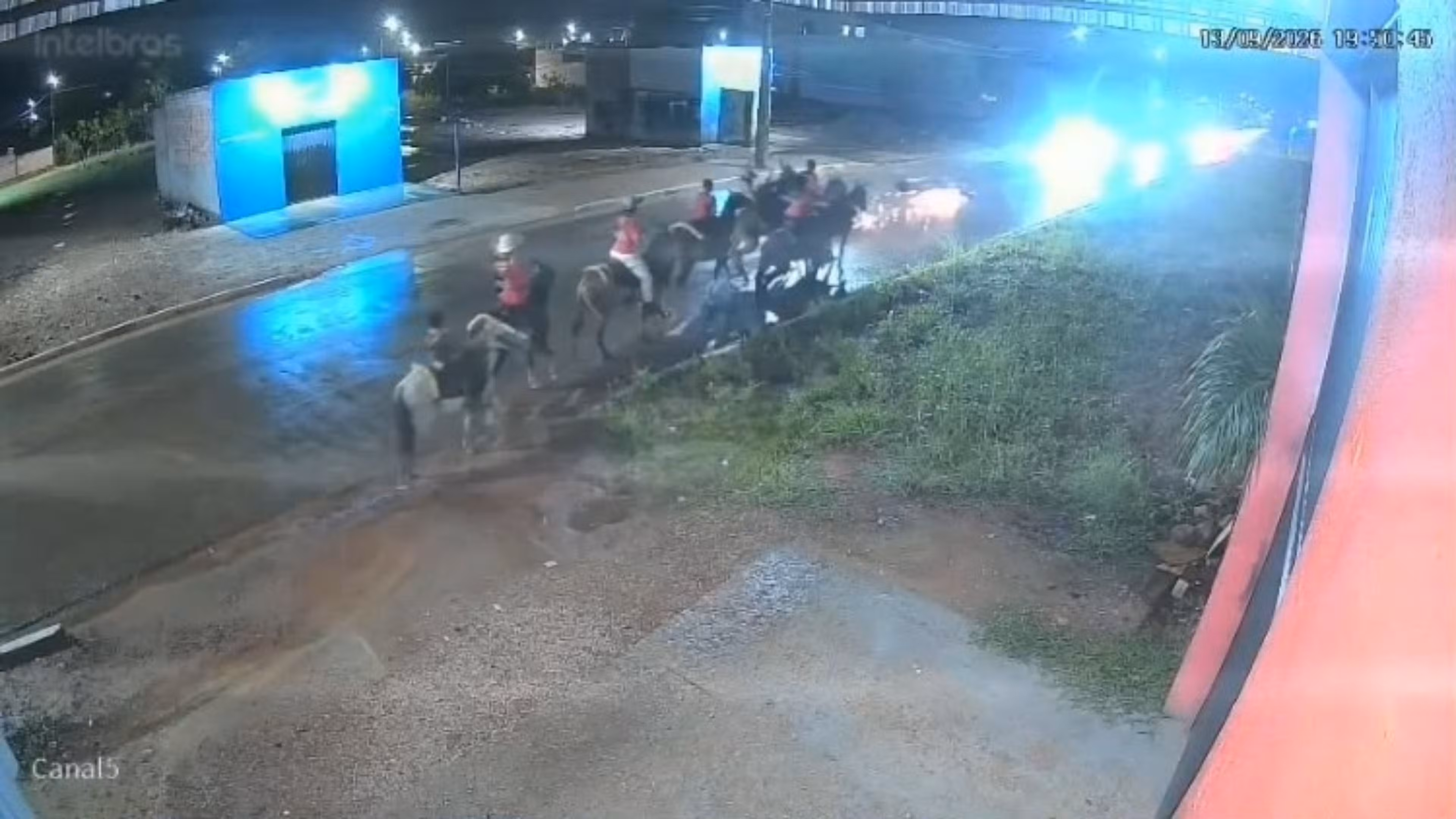 VÍDEO: Motociclista morre após bater em cavalo e ser atropelado por carro em Porto Velho