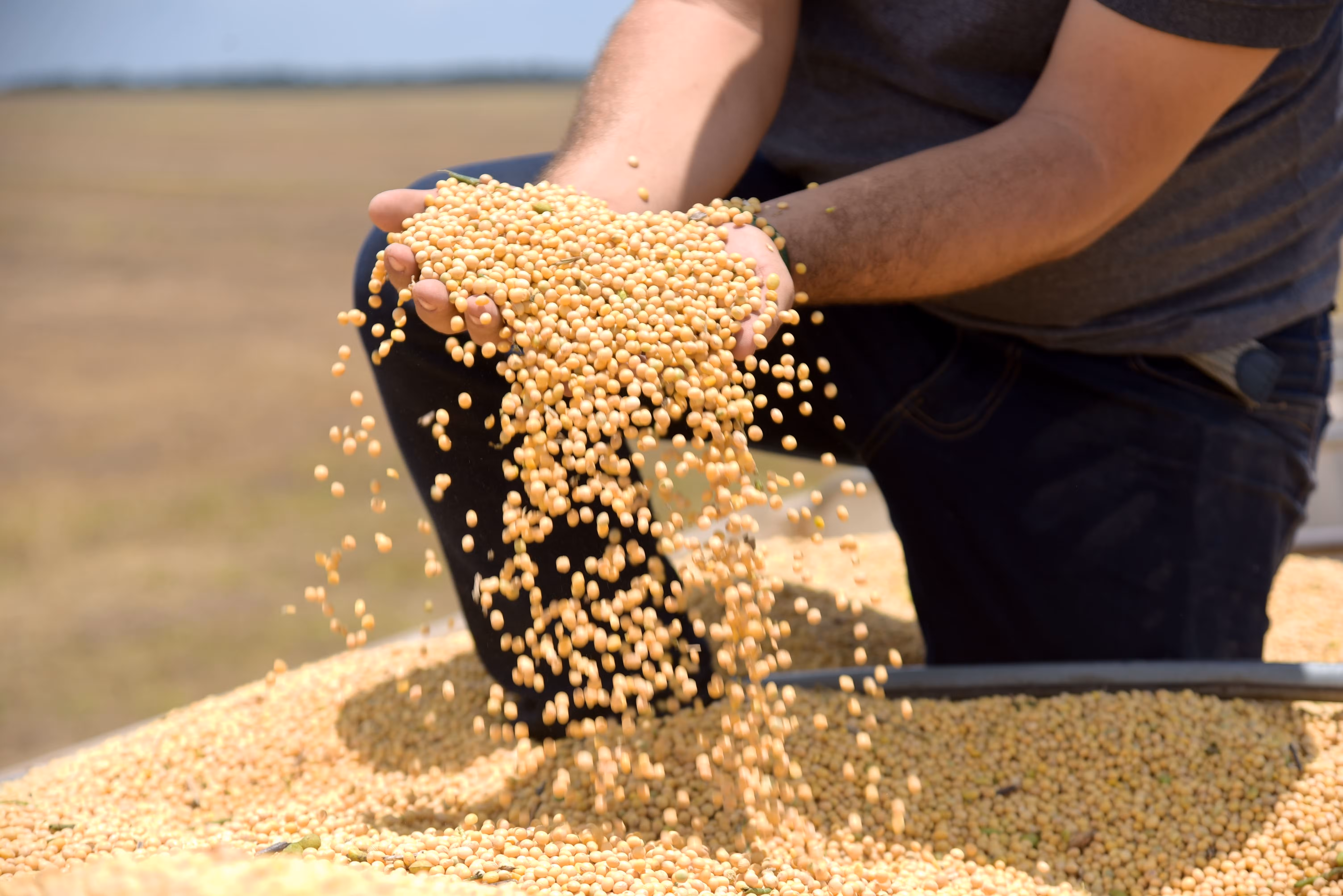 Tarifaço deve atingir 36,5% das exportações do agro para os EUA, diz CNA