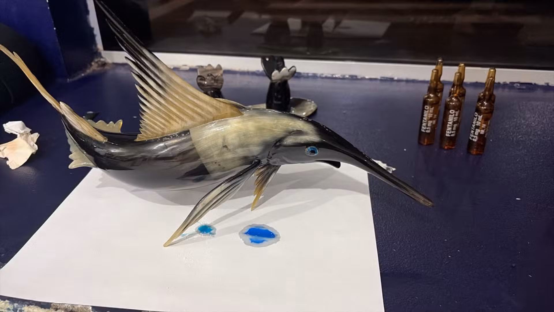 Cocaína e fentanil escondidos em escultura de peixe são encontrados em ônibus na BR