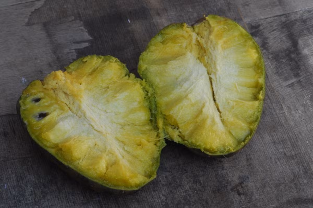 Araticum: 6 curiosidades sobre a fruta do Cerrado que amadurece em poucos dias e é muito doce