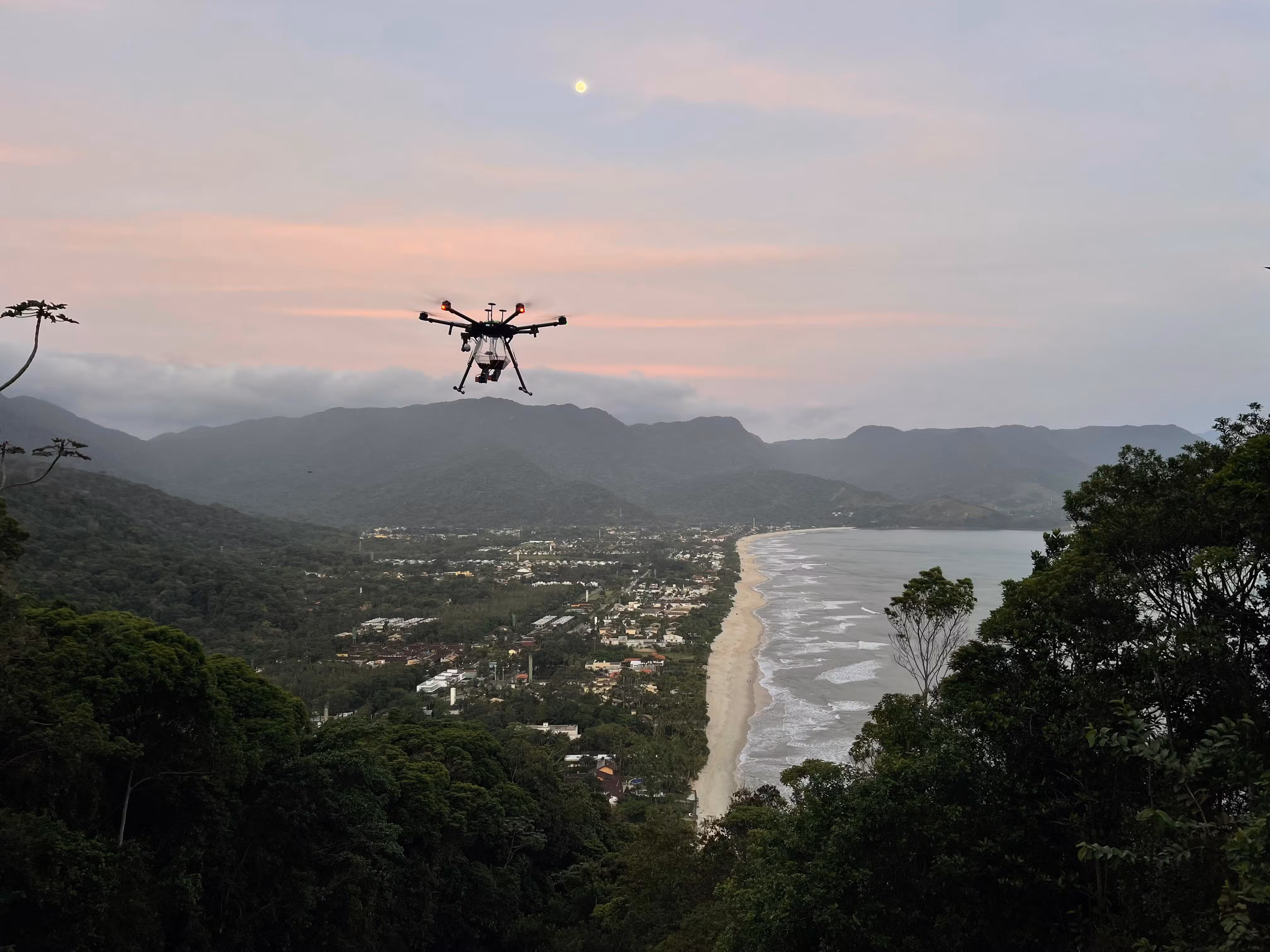 Drones espalham milhões de sementes para devolver vegetação a encostas destruídas em SP