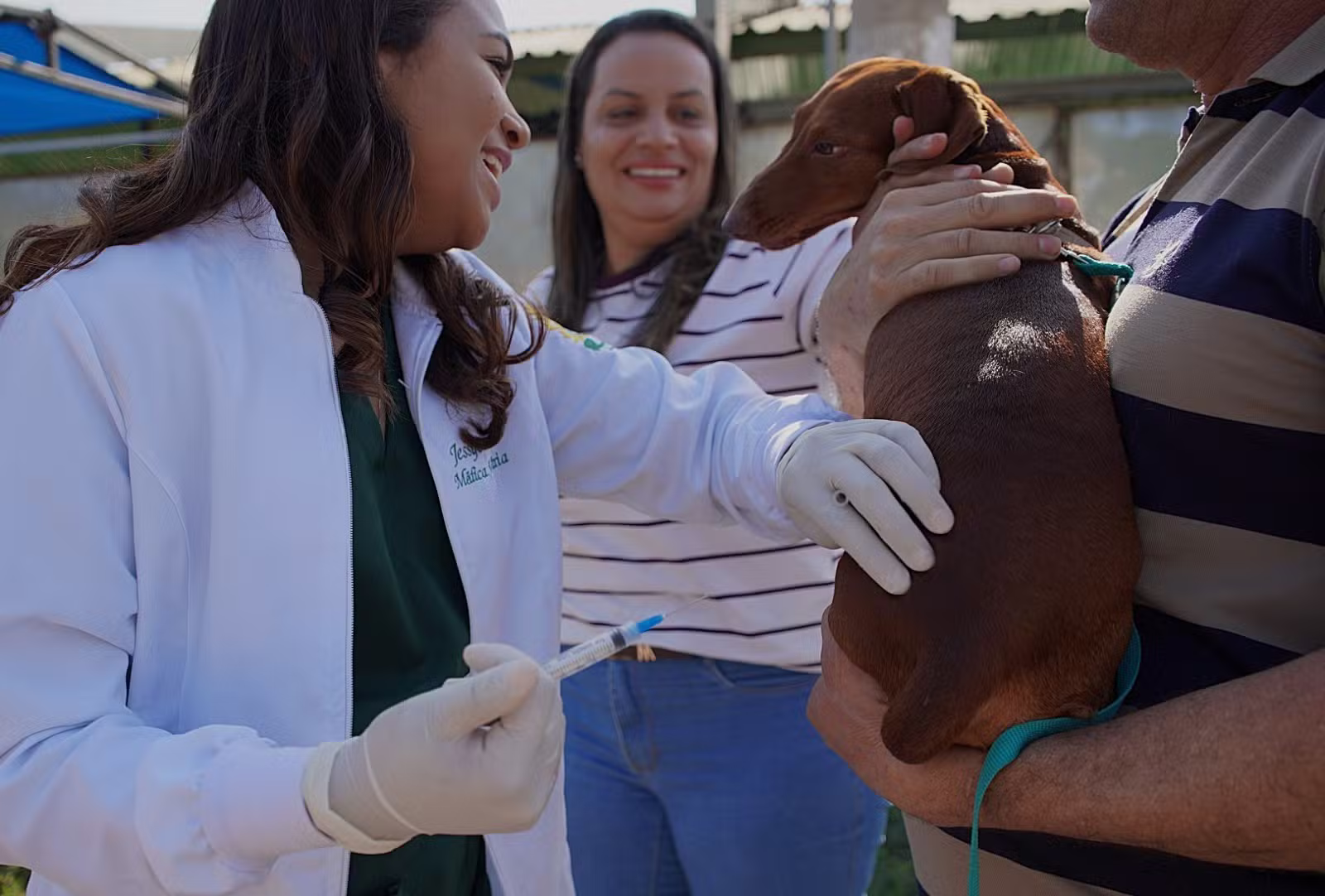 Volta Redonda recebe 2ª etapa de vacinação antirrábica para cães e gatos no sábado