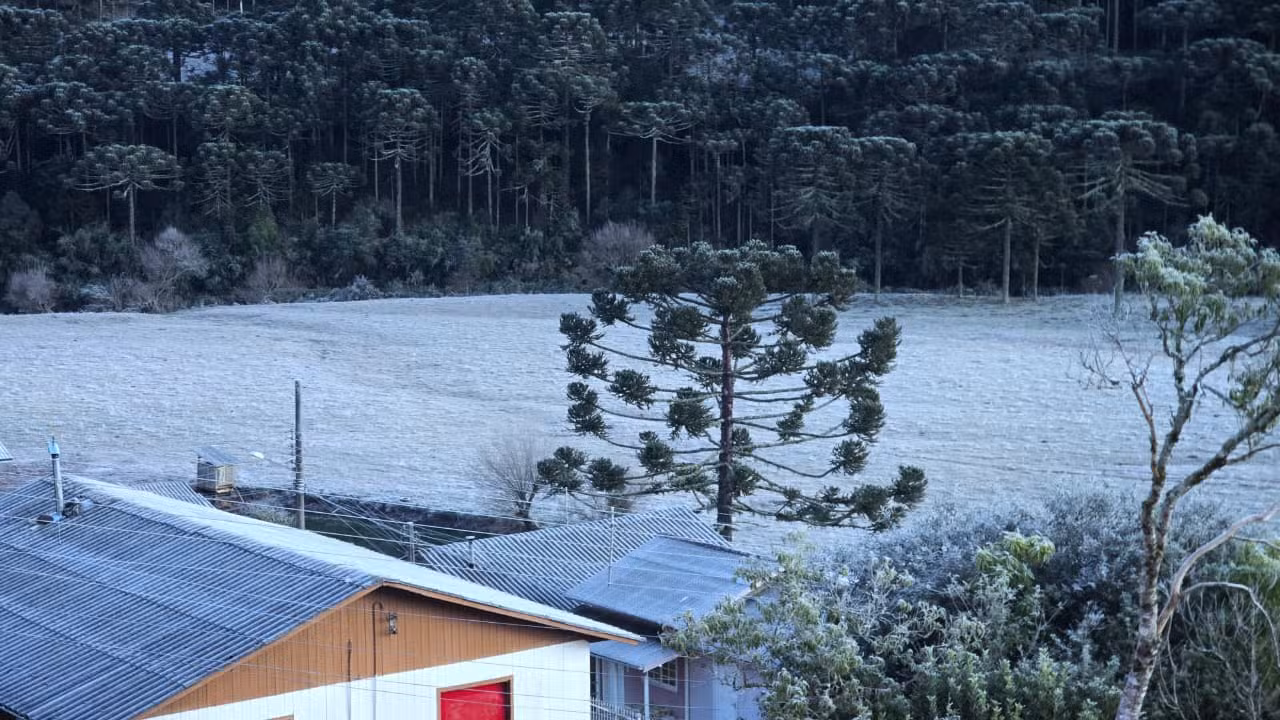 Frio avança pelo Centro-Sul nesta quarta; geada e mínimas abaixo de 10°C estão previstas