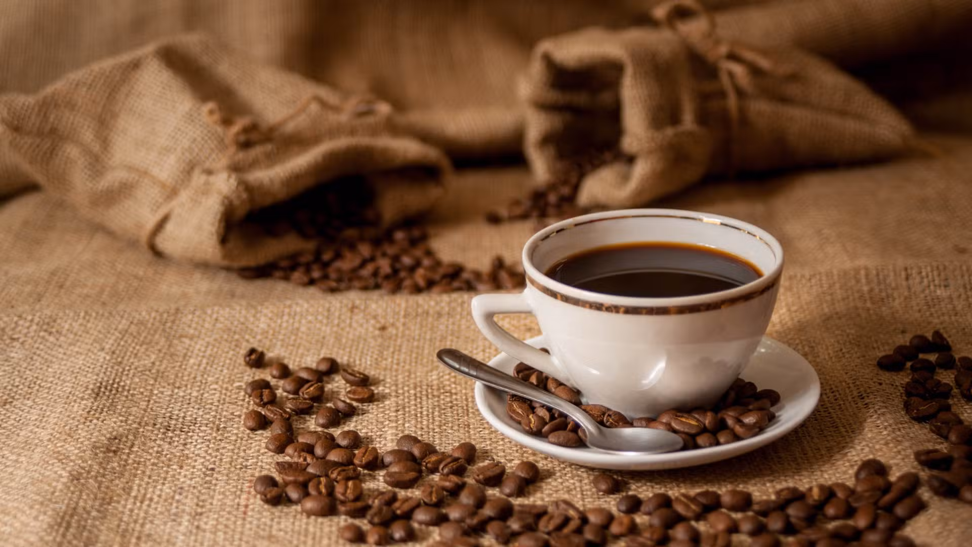'Veneno no seu café': relatório alerta para uso massivo de pesticidas na produção mundial