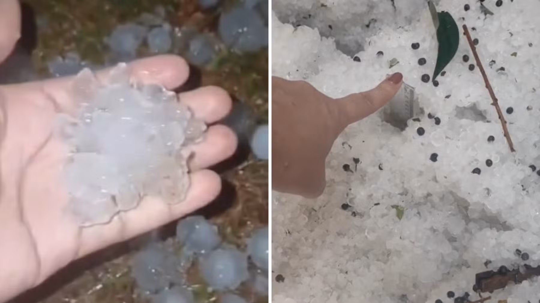 VÍDEO: Paraná tem chuvas de granizo com pedras do tamanho de ovos e camadas de gelo de 30 cm de altura